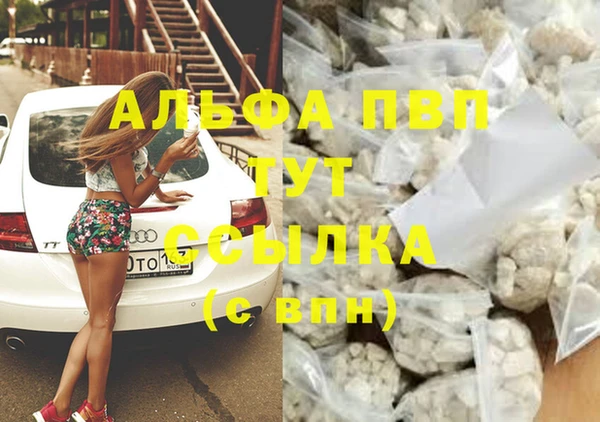 ГАЛЛЮЦИНОГЕННЫЕ ГРИБЫ Нефтекумск