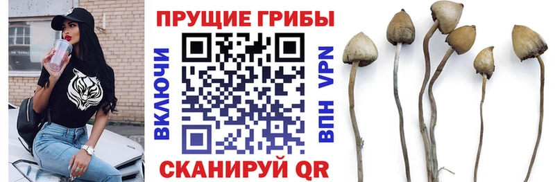 Псилоцибиновые грибы Psilocybe  Оханск 