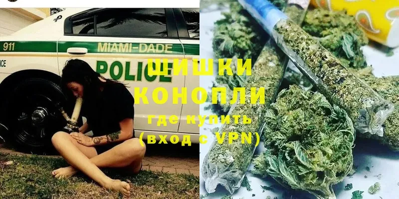 Каннабис OG Kush  Оханск 